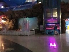 -烟台海昌鲸鲨海洋公园