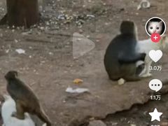 -昆明动物园