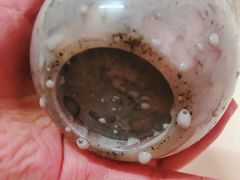 -TPLUS茶家(浦电路店)