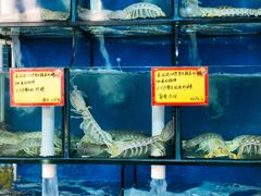 -蚝专家(北滘店)