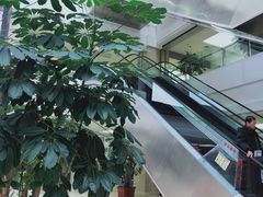 -哈尔滨市民大厦