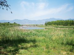 -野鸭湖国家湿地公园