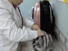 -中农大我爱我爱24h动物医院·中医针灸·猫专科·骨科医疗中心(双井店)
