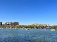 -莲花池公园