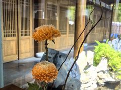 -鲤院·新中式美学·庭院餐厅(夫子庙店)