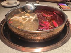 -菌自在·云南野生菌火锅(长安万达店)