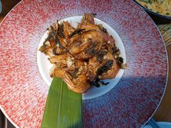 -菌自由丨野生菌火锅特色庭院餐厅(丽江古城店)