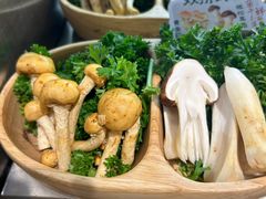 -楠小云·云南鲜菌·鲜牛自助火锅(九眼桥店)