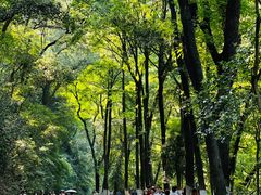 -岳麓山风景名胜区