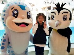 -帝企鹅自助餐厅•儿童岛•真企鹅(长隆企鹅酒店)