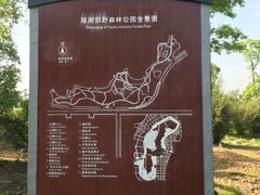 -瑶湖郊野森林公园