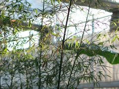 -南和农业嘉年华