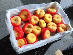 -长兴慧子土特产茶行