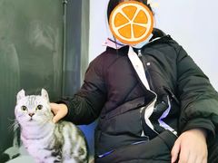 -极木²邸 人与宠物·互动社区