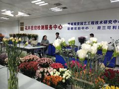 -昆明国际花卉拍卖交易中心