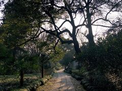 -法云古村