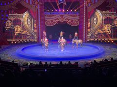 -珠海横琴长隆《卡卡虎奇遇记》