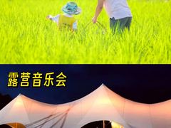 -光明小镇欢乐田园