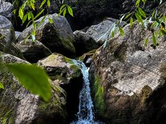 -鹿院坪生态旅游景区
