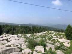 -原山国家森林公园