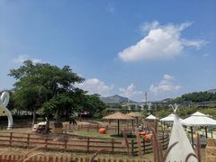 -盈香心动乐园