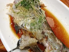 -顺德了能馆(虎门店)