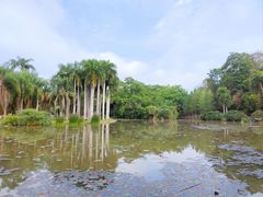 -中国科学院西双版纳热带植物园
