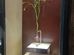 -辽宁古生物博物馆