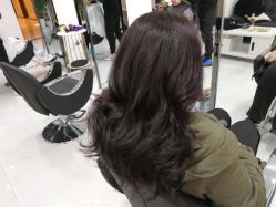 -青禾造型&刺青