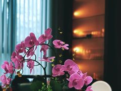 -酒蜻蜓·庭院私房菜(天元东路店)