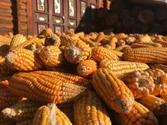 -泸沽湖国家级风景名胜区走婚桥