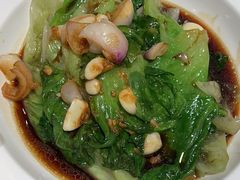 -金鼎轩(方庄天坛店)