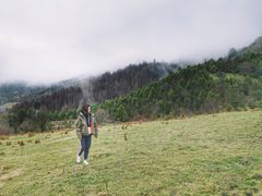 -硗碛藏寨·神木垒景区