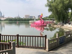 -莲花池公园