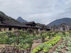 -九鲤溪瀑景区