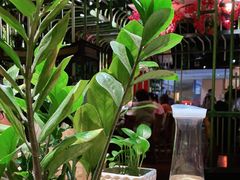 -浩海火烧云傣家菜(京广店)