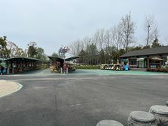 -合肥滨湖国家森林公园