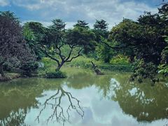 -鹤之洲湿地公园