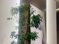 -LB·海菲秀牛奶光官方体验中心