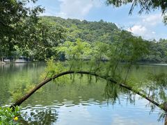 -西樵山风景名胜区-天湖公园