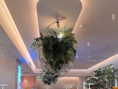 -Aqua Oasis 水天堂(太湖中心mall店)