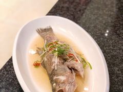 清蒸鲈鱼-锦园餐厅(九龙湖开元度假村店)