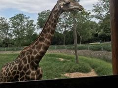 -石家庄市动物园