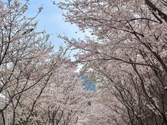 -南京明基医院