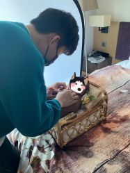 婴儿服务-禧月荟S月子中心(侨城店)