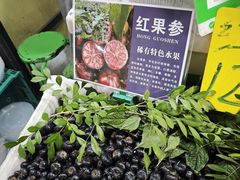 -曼阁市场水果批发市场
