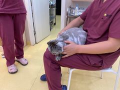 -芭比堂动物医院·犬猫全科·异宠专科(雁塔分院)