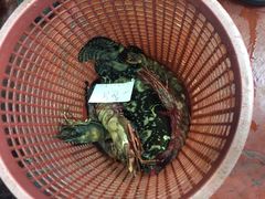 -ZF Seafood Restaurant 卓峰海鲜餐