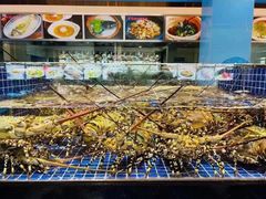 -宁波石浦大饭店(新材料城店)