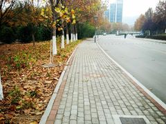 -山东师范大学(千佛山校区)